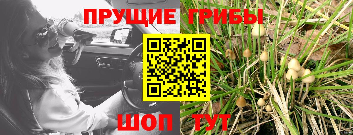 Галлюциногенные грибы Magic Shrooms  Вход с VPN  Кушва 